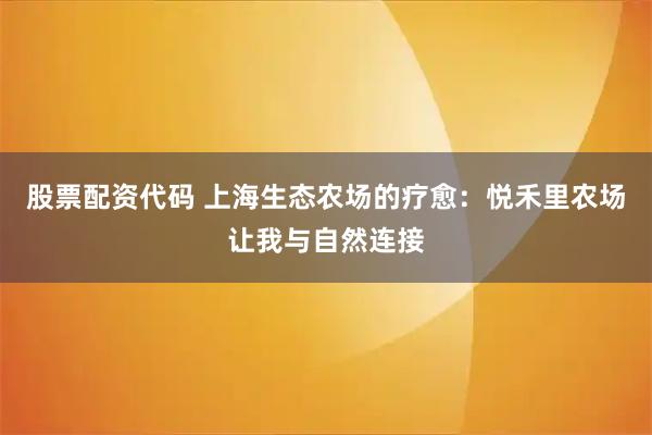 股票配资代码 上海生态农场的疗愈：悦禾里农场让我与自然连接